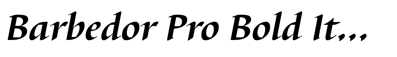 Barbedor Pro Bold Italic
